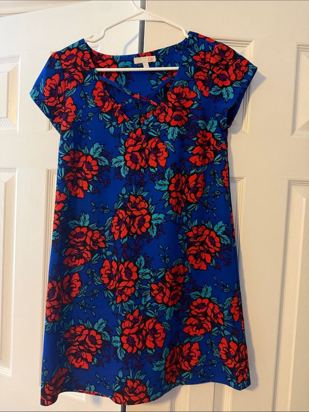 Gianni Bini Blue Floral Dress with Red Rose Accents